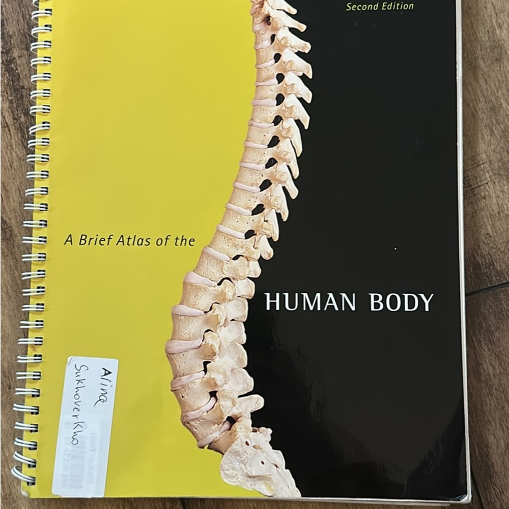 A Brief Atlas of the Human Body